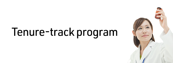 Tenure-track program