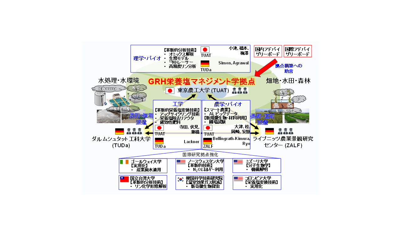 GRH “Research Center for Nitrogen and Phosphorus Upcycling”20252-2-7